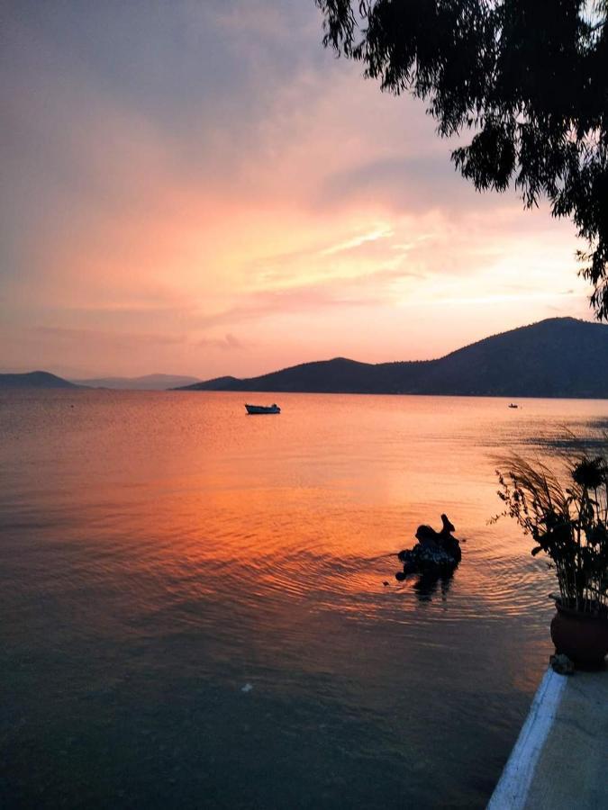 Vitamin Sea Studio Panagia  Εξωτερικό φωτογραφία