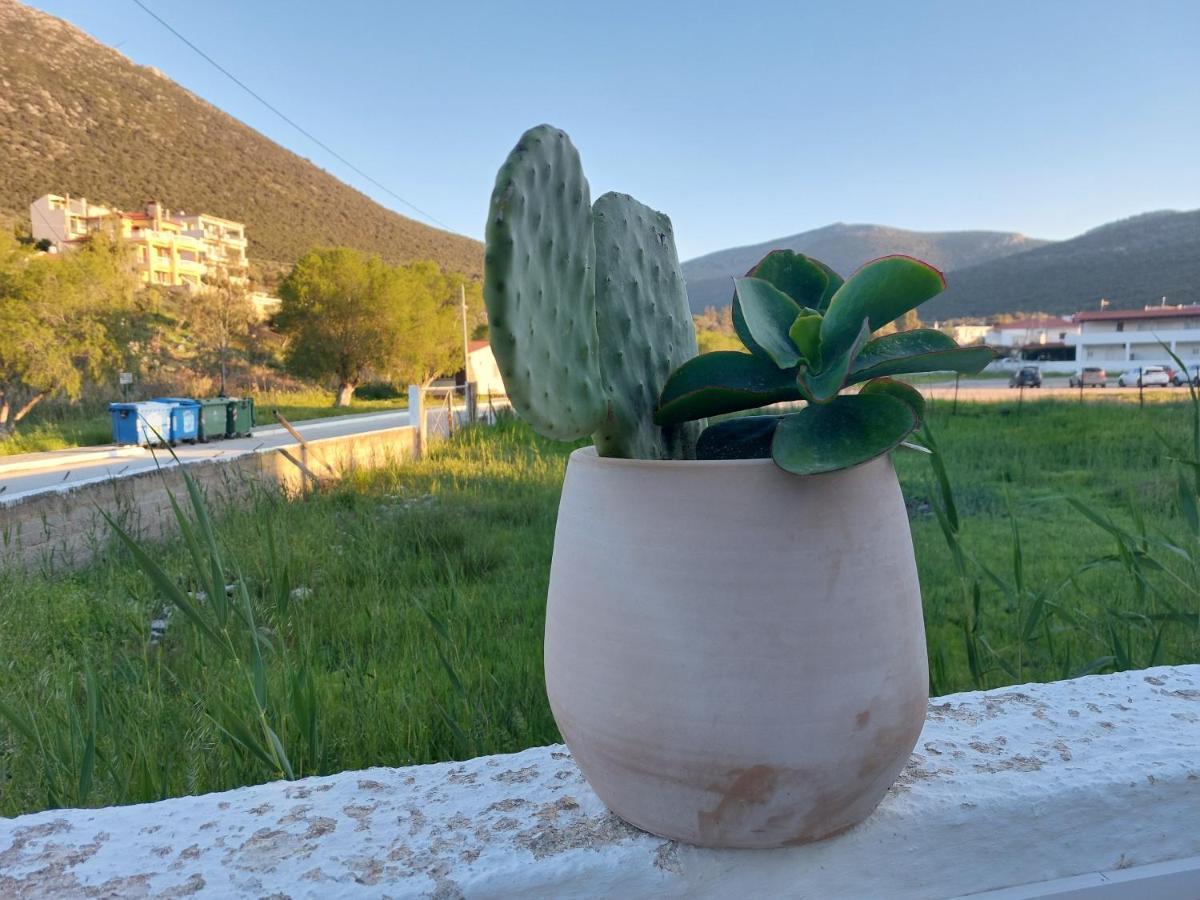 Vitamin Sea Studio Panagia  Εξωτερικό φωτογραφία